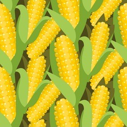 corn seamless pattern vector illustration. maize ear or cob harvest. yellow sweetcorn and seeds dense background.