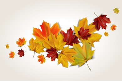 colorful autumn maple leaves, abstract vector illustration