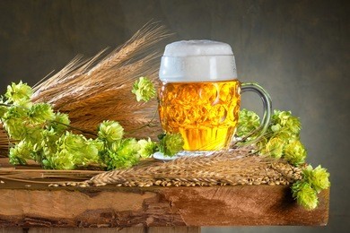 glass of beer and raw material for beer production