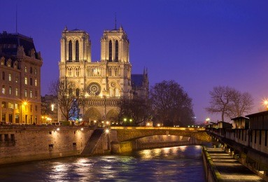 notre dame de paris and cite island at night captured from the opposite bank of seine river