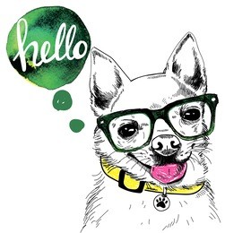 hello!
cute dog wearing a collar smiling . good puppy . card , print on t-shirt , poster .