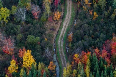 scenic aerial view of a dirt road winding through the colorful fall forest, quebec, canada.