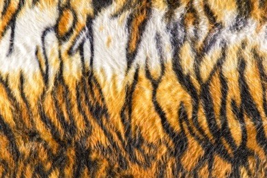 tiger fur pattern