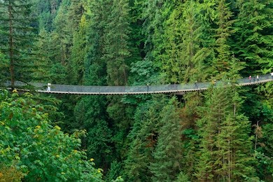 capilano suspension bridge in vancouver, canada.