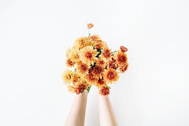 chrysanthemum bouquet in girl's hands on white background. flat lay, top view concept