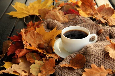 autumn, fall leaves, hot steaming cup of coffee and a warm scarf on wooden table background. seasonal, morning coffee, sunday relaxing and still life concept.