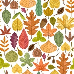 autumn leaves vector seamless pattern on white background