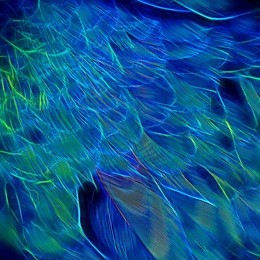 blue green yellow magenta glow neon texture                   