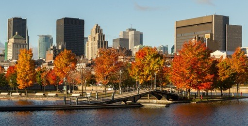 skyline and colorful trees in historical old montreal seen from the old port bassin at fall, canada.