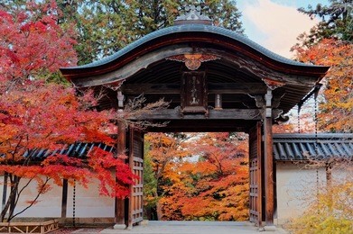 beautiful scenery of fiery maple trees & a traditional roofed gate of japanese style at the entrance to nison-in temple, a famous buddhist temple in arashiyama, kyoto japan, in colorful autumn season