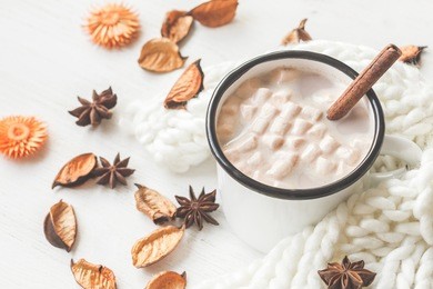 autumn. hot chocolate, knitted blanket, dried flowers and autumn leaves