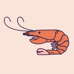 shrimp prawn illustration drawing icon flat line icon