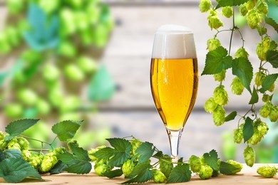 hop cones with pint  on the old wooden floor