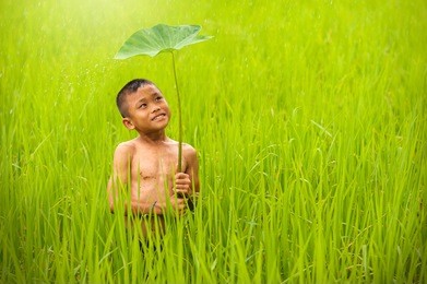 child boy farmer smiling in rain central rice 