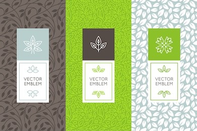 vector set of packaging design templates, seamless patterns and frames with copy space for text for cosmetics, beauty products, organic and healthy food with leaves and flowers - modern ornaments 