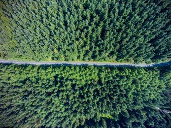 road going through forest landscape, view from the above