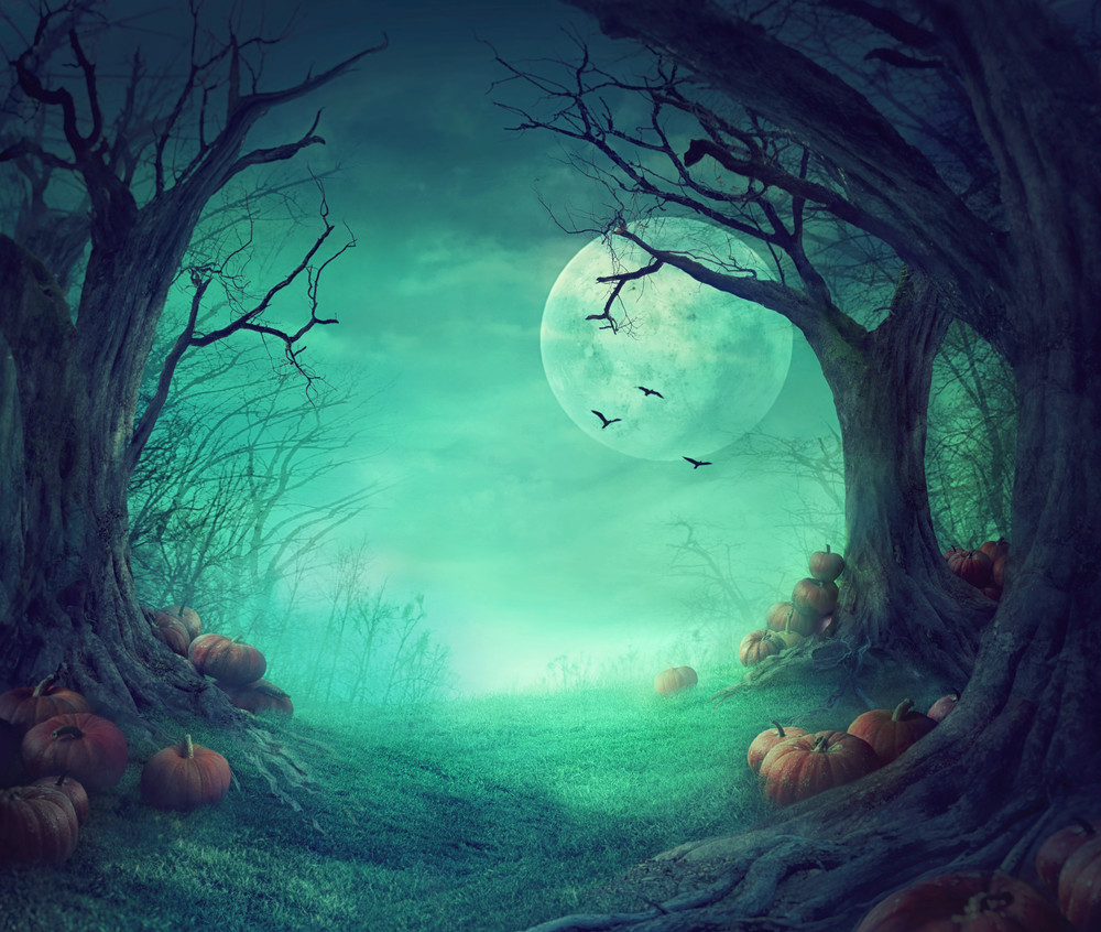 halloween background. spooky forest with dead trees and pumpkins.halloween design with pumpkins
