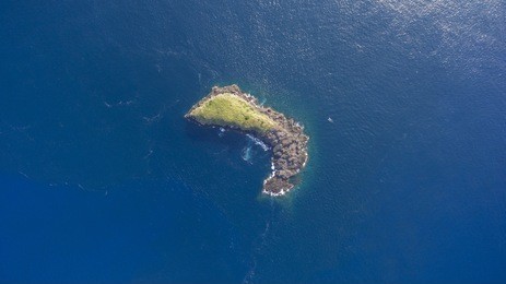 top view aerial photo from flying drone of a little green, tropical island in open sea in thailand. small beach in indian ocean with turquoise water with copy space for your advertising