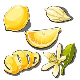 whole ripe yellow lemon. peel, slice, seed and flower of lemon isolated on a white background. 