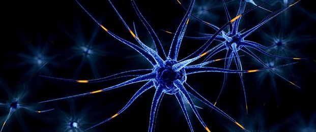 neuronal cells, 3d illustration on black background