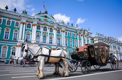 carriage near the hermitage in st. petersburg