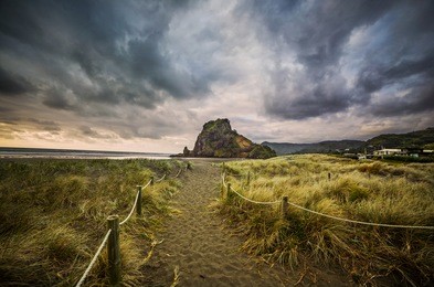 piha beach, west coast, auckland, new zealand