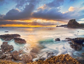 piha beach, west coast, auckland, new zealand