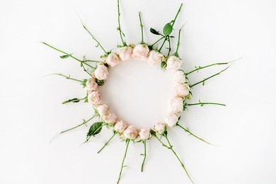 round frame wreath pattern with roses isolated on white background. flat lay, top view