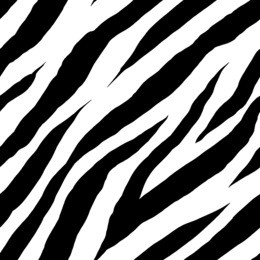 zebra seamless pattern. animal trendy fashion print