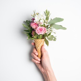 beautiful flower in ice cream cone in girls hand with manicure on white background