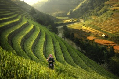 mother and child walk the rice terraces.