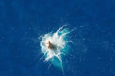 female diver entering water. shot from above, frozen motion, polarizing filter, convenient copy space