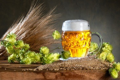 beer glass and raw material for beer production