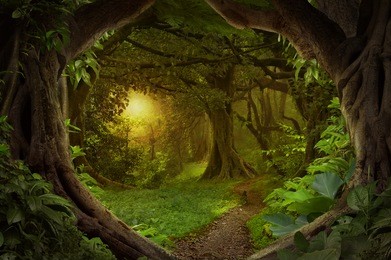 deep tropical jungles of southeast asia in august