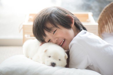 cute asian child playing with siberian husky puppy