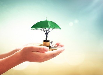 safety money concept: human hand holding a girl reading book, stack of golden coins, umbrella and big tree on blurred nature background