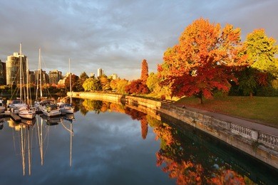 autumn colors alone the sea walk in stanley park, vancouver, bc