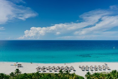 the most beautiful species in the atlantic ocean and beach in the resort of varadero, cuba