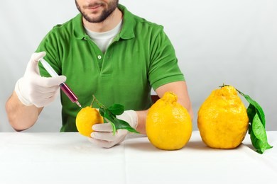 a man giving a shot to a lemon to make it grow as big as a melon. the concept of food genetics and transgenic food.