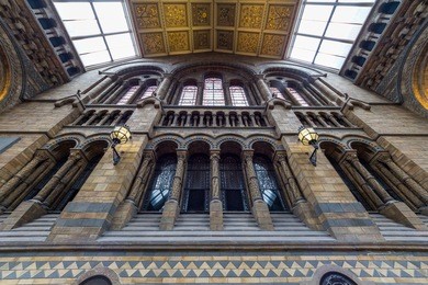 natural history museum in london