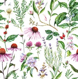 hand-drawn watercolor seamless botanical pattern with different plants. repeated natural background with meadow and medical plants: echinacea, coffe, lavender etc.