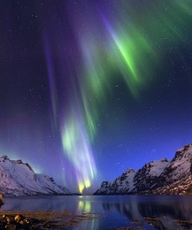 the polar lights in norway,tromso ,ersfjord