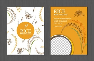 rice thailand food product vector design, banner and poster template design rice food. 