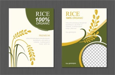 rice thailand food product vector design, banner and poster template design rice food. 