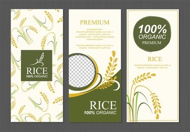 rice thailand food product vector design, banner and poster template design rice food. 