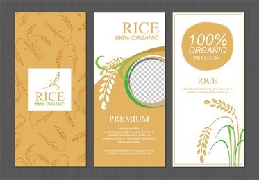 rice thailand food product vector design, banner and poster template design rice food. 
