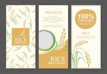 rice thailand food product vector design, banner and poster template design rice food. 