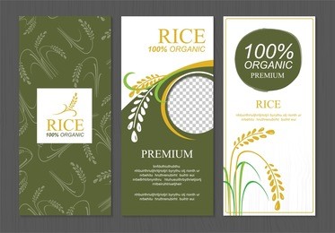 rice thailand food product vector design, banner and poster template design rice food. 