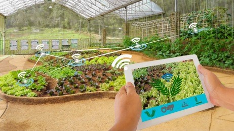 smart agriculture and internet of things in agriculture concept. farmer using digital tablet application to monitor and control conditions from wireless sensor network in vegetables plant.