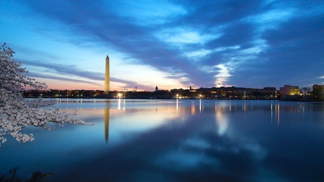 washington monument at night with the city skyline and cherry blossom. colorful reflections of washington landmarks in the tidal basin.
